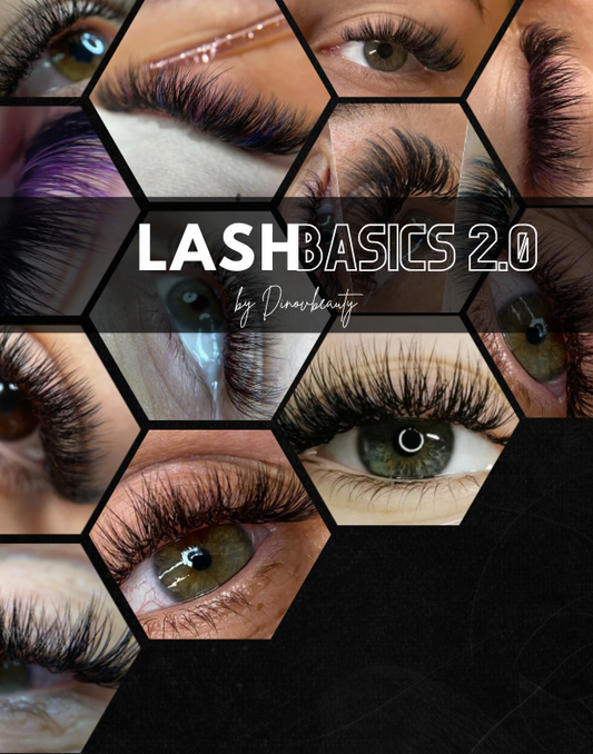 Lash Basics 2.0 – Das Experten-Handbuch für professionelle Wimpernverlängerung